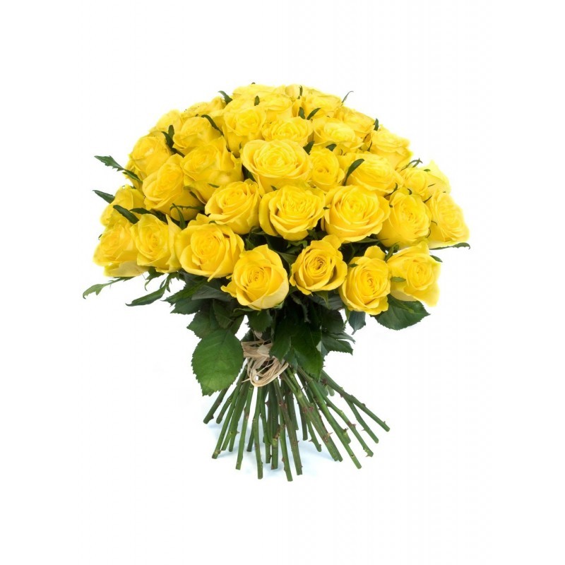 Nr 43 100 Roses jaunes Graines