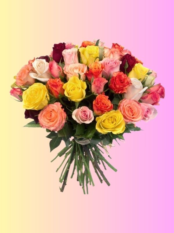 bouquet roses multicolores bouquet roses multicolores
